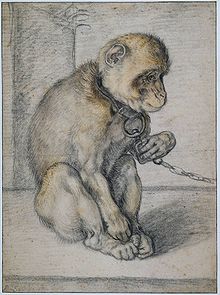 chain-monkey-wikipedia-1